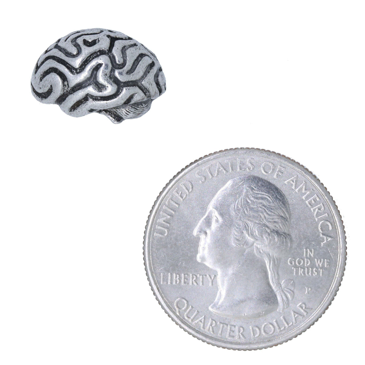 Pin on Big Brain