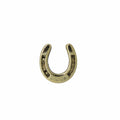Horseshoe Gold Lapel Pin