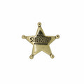 Sheriff Star Gold Lapel Pin