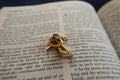 Franciscan Tau Gold Lapel Pin