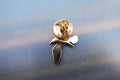 Seagull Gold Lapel Pin