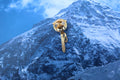 Mountaineering Axe Gold Lapel Pin