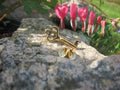 Skeleton Key Gold Lapel Pin