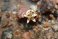Starfish Gold Lapel Pin