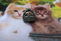 Kittens in a Basket Lapel Pin