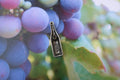Wine Bottle Lapel Pin