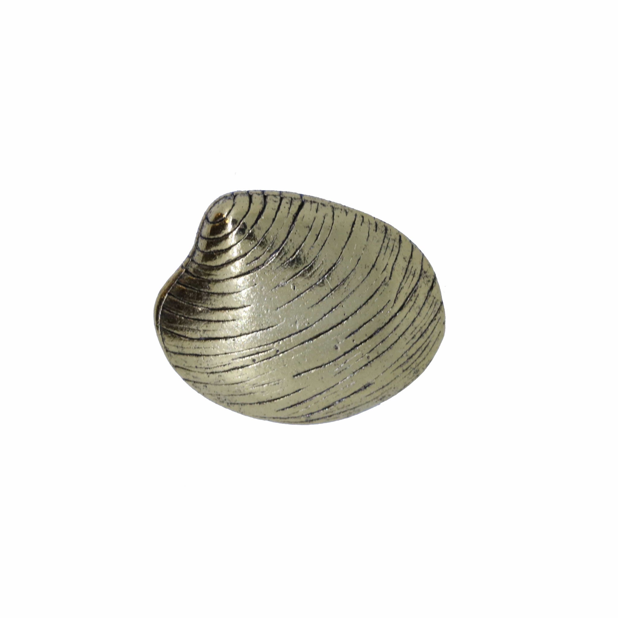 Quahog Gold Lapel Pin