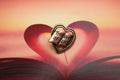 Book of Love Copper Lapel Pin