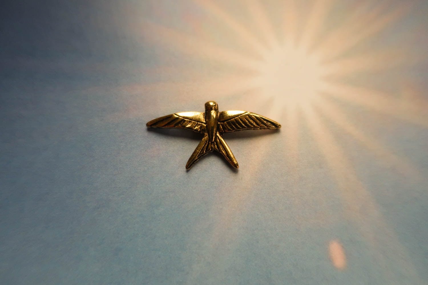 Pin's Swallow