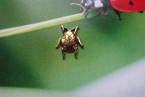 Ladybug Gold Lapel Pin