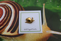 Snail Gold Lapel Pin