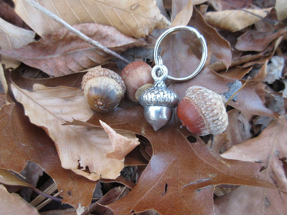 thumbnail image 2 of Esschert Design Cast Iron Acorn Key Keepers, Brown, 2 Pack – Prime 2 of 9