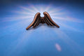 Angel Wings Copper Lapel Pin