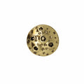 Asteroid Gold Lapel Pin