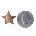 Star Copper Lapel Pin