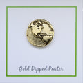 The Americas Gold Lapel Pin