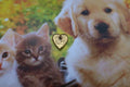 Heart and Paw Gold Lapel Pin