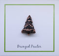 Evergreen Tree Copper Lapel Pin