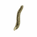 Spine Gold Lapel Pin