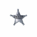 Sheriff Star Lapel Pin