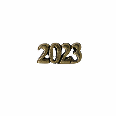 2020 Gold Lapel Pin | lapelpinplanet