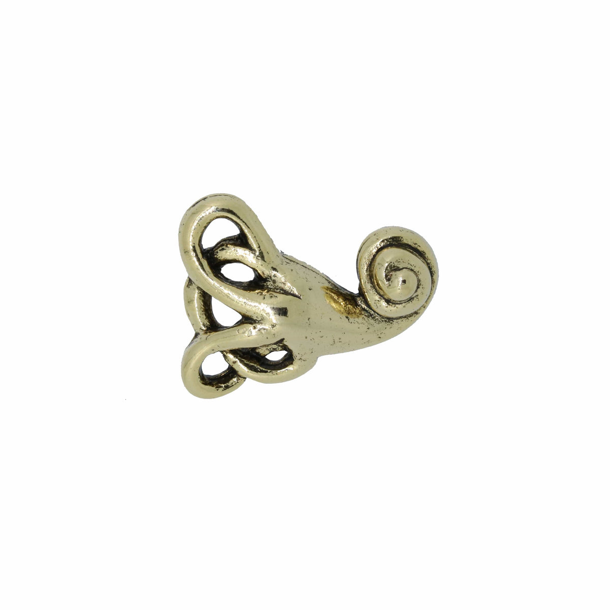 Vestibular System Gold Lapel Pin – lapelpinplanet