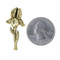 Iris Gold Lapel Pin
