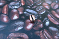 Coffee Bean Copper Lapel Pin