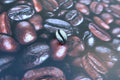 Coffee Bean Lapel Pin