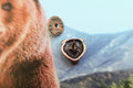 Bear Head Copper Lapel Pin