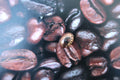 Coffee Bean Copper Lapel Pin