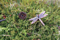 Dragonfly Copper Lapel Pin