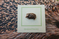 Hedgehog Copper Lapel Pin