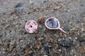 Horseshoe Crab Copper Lapel Pin