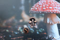 Mushrooms Copper Lapel Pin