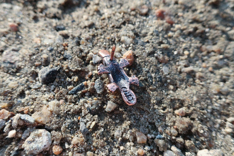 Platypus Copper Lapel Pin