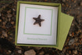 Starfish Copper Lapel Pin
