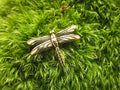 Dragonfly Gold Lapel Pin