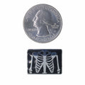 X-Ray Enamel Pin