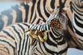 Zebra Gold Lapel Pin