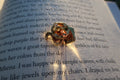 Bookworm Gold Lapel Pin