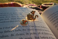 Bookworm Gold Lapel Pin