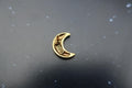 Crescent Moon Gold Lapel Pin