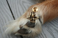 Dog Angel Gold Lapel Pin