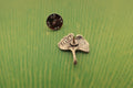 Ginkgo Leaf Gold Lapel Pin
