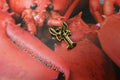 Lobster Gold Lapel Pin