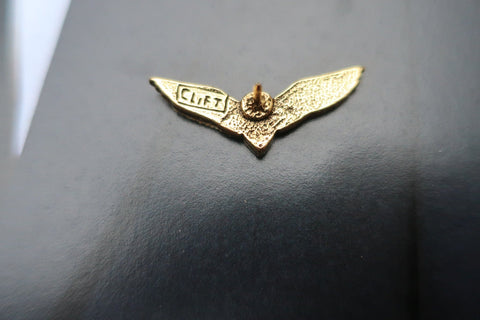 Pilot Wings Gold Lapel Pin