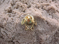 Sea Turtle Gold Lapel Pin