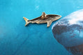 Shark Gold Lapel Pin