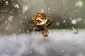 Umbrella Gold Lapel Pin